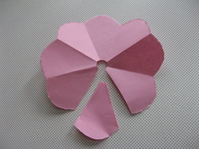 Cut Segments