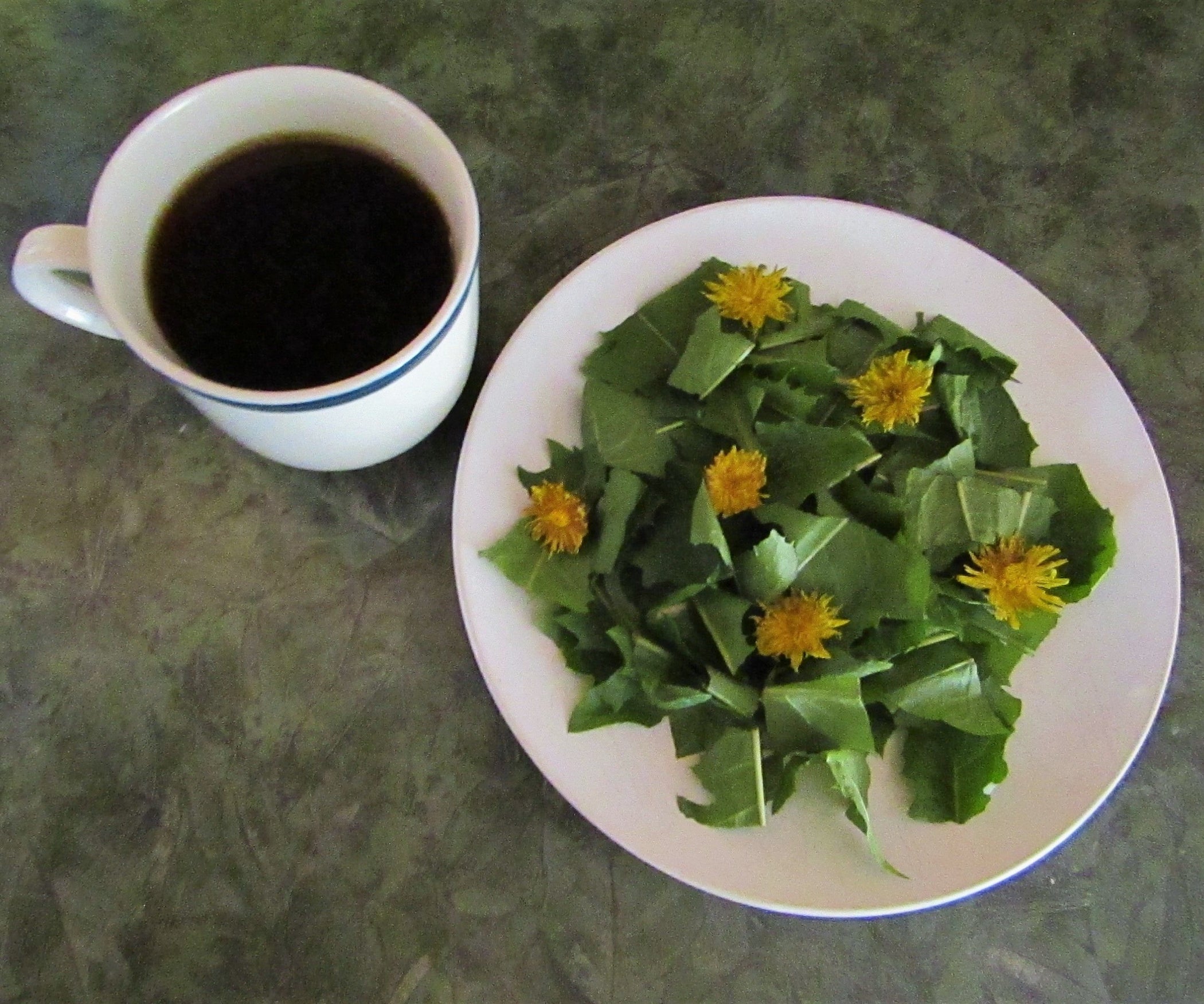 How to Eat a Dandelion 10 Steps (with Pictures) Instructables