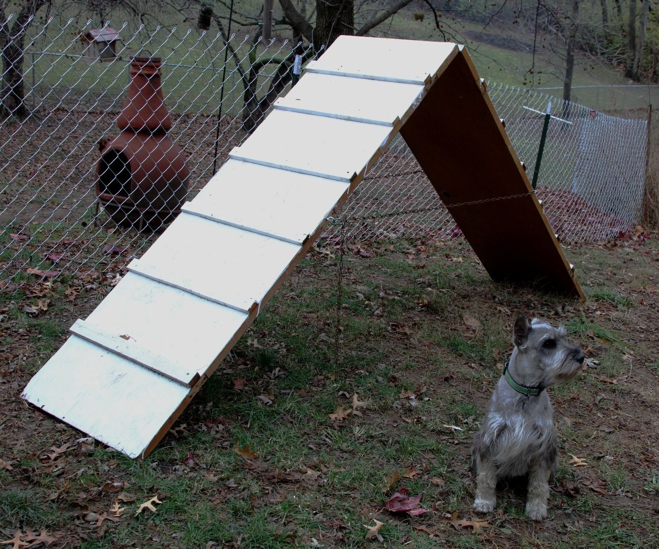Dog Agility a Frame 5 Steps (with Pictures) Instructables