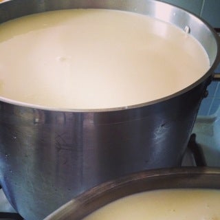 Start With Fresh, Warm Milk