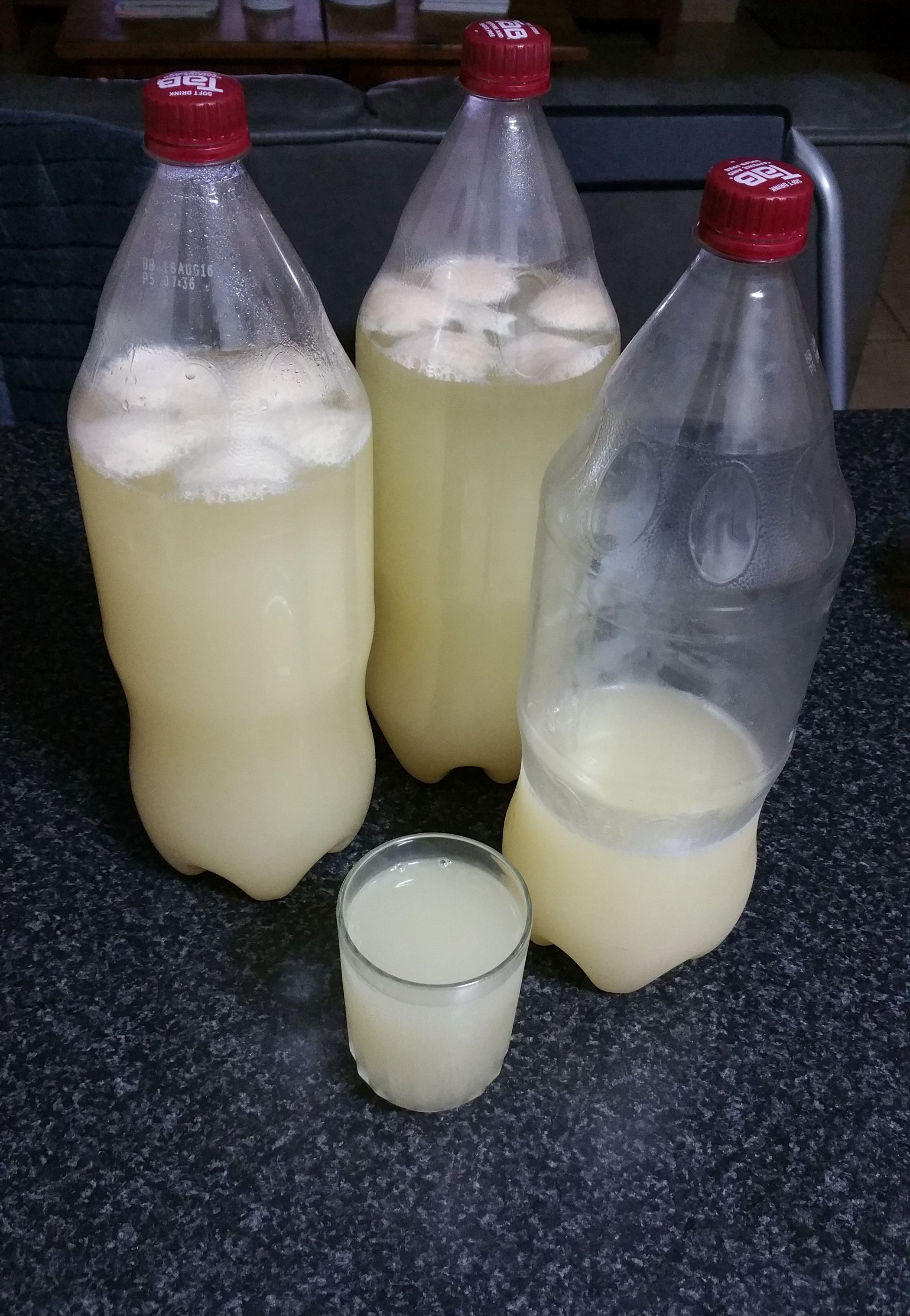 Let's Make Some Pineapple Beer! 9 Steps (with Pictures) Instructables