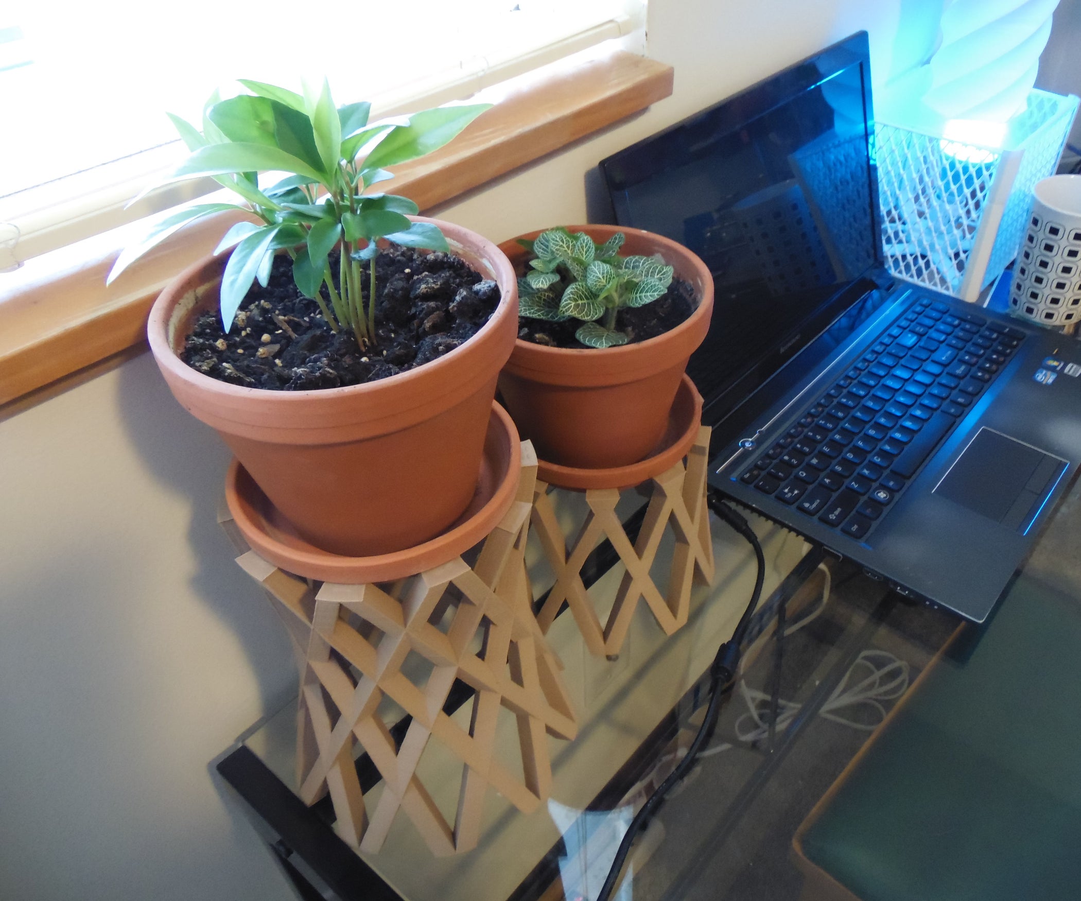 3D Printed Home Decor Plant Boosters/Risers 4 Steps (with Pictures