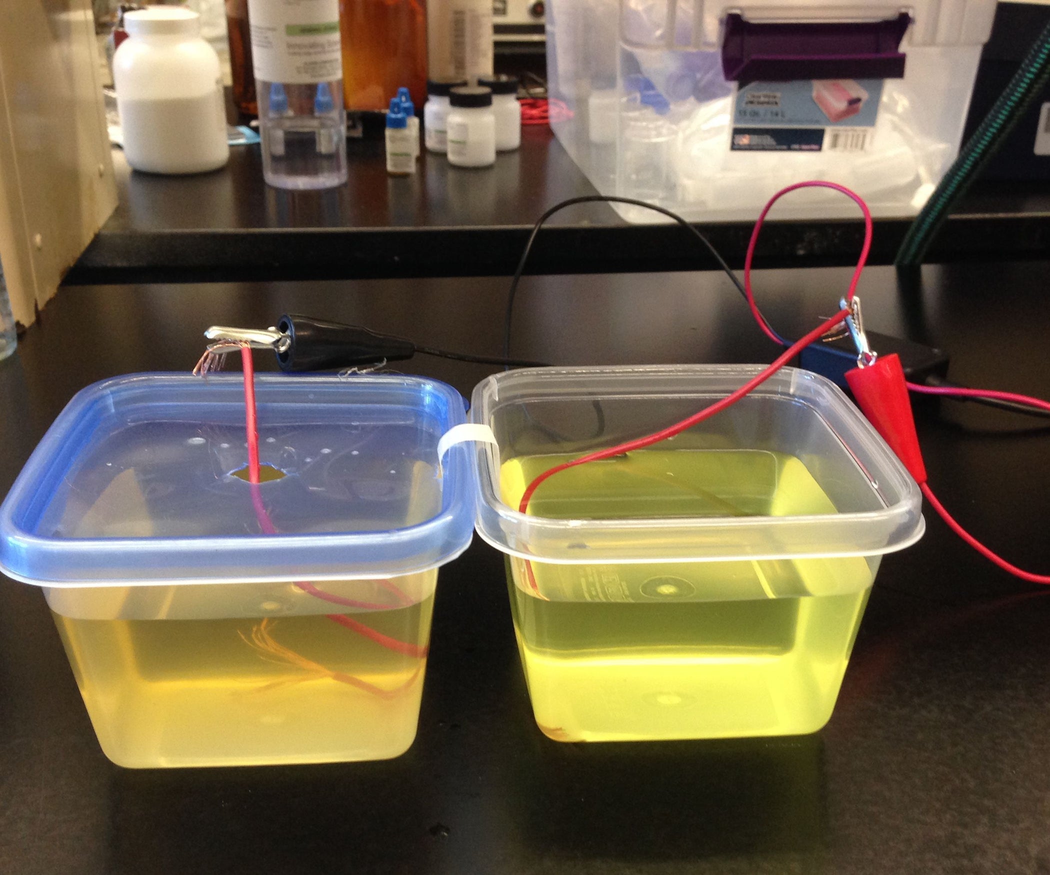 Microbial Fuel Cell Powered by Urine 4 Steps Instructables