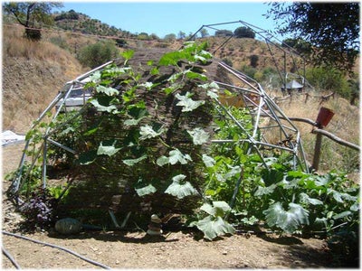 geodesic instructables
