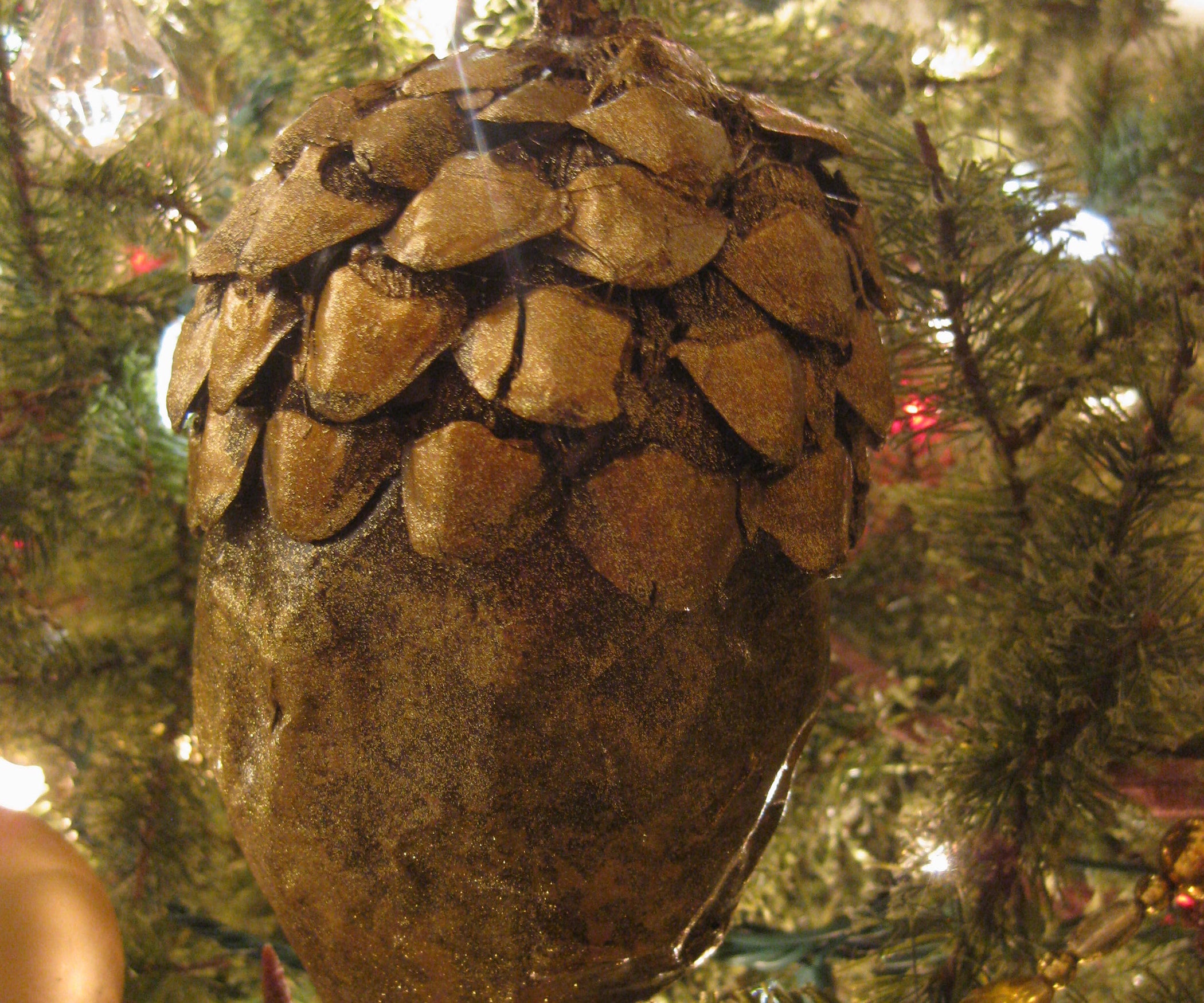Giant Acorns 3 Steps