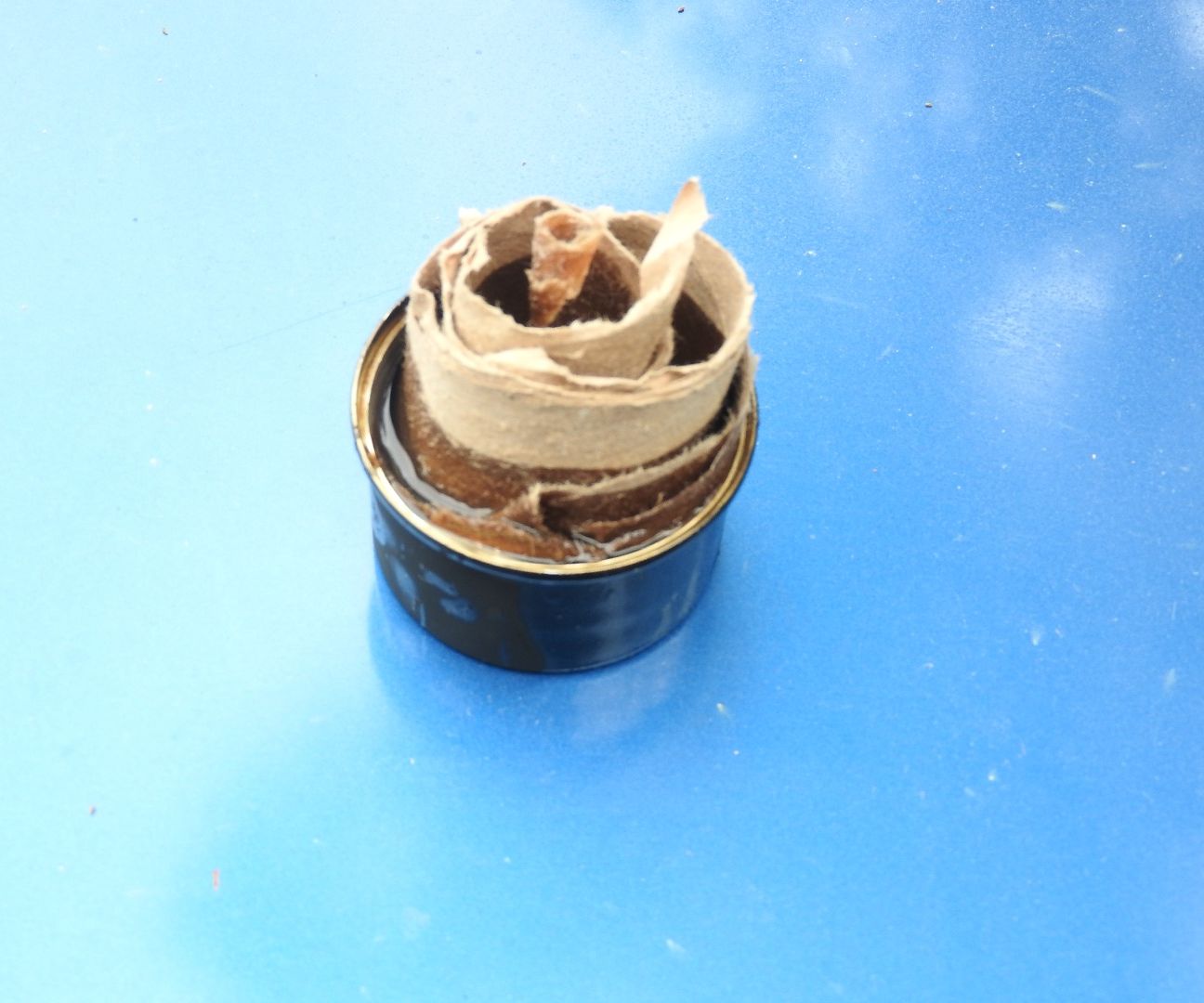 Wax Fire Starter 3 Steps (with Pictures) Instructables