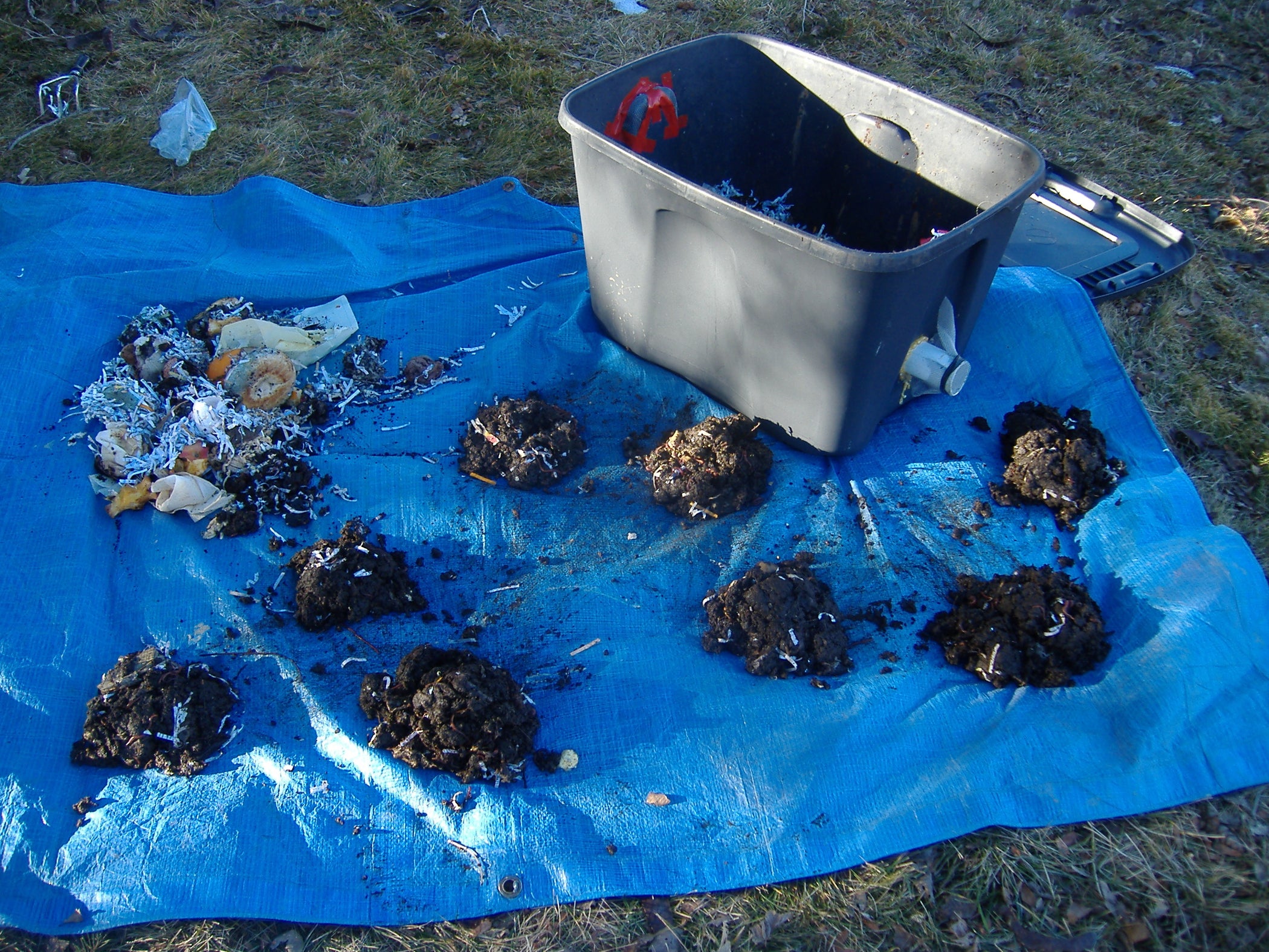 Caring for Your Worm Bin 6 Steps Instructables